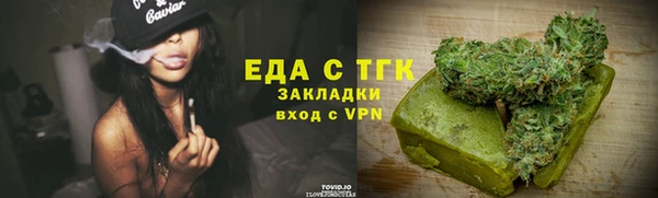 индика Елабуга